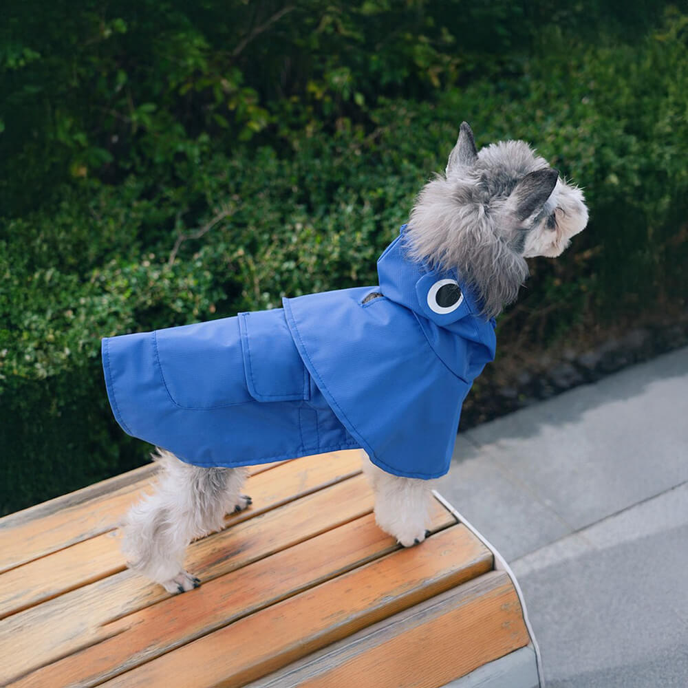 Poncho imperméable léger à capuche pour chien inspiré de la grenouille