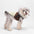 Fur-Trim Hooded Warm Dog Coat with Leash Buckle