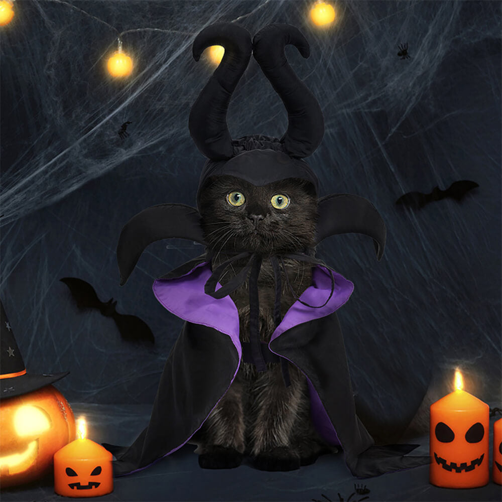 Disfraz de capa de bruja de Halloween Ropa para mascotas