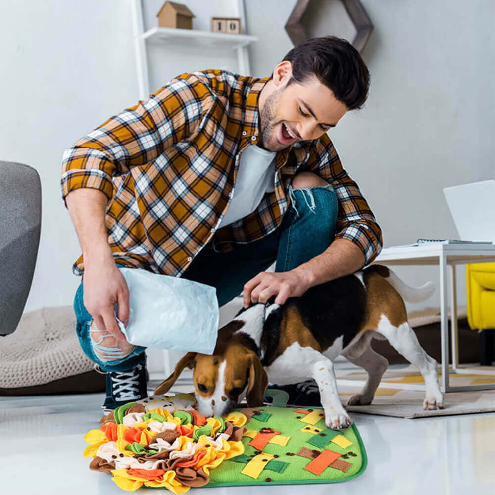 Tapis de reniflage pour animaux de compagnie, en forme de verre à vin, en forme de fleur, pour chien, alimentation lente