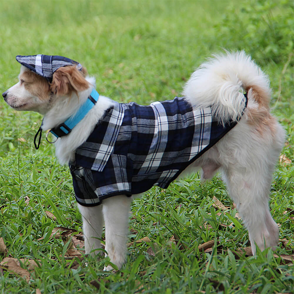 Plaid Oxford Sun Protection Adjustable Dog Hat & Coat Set