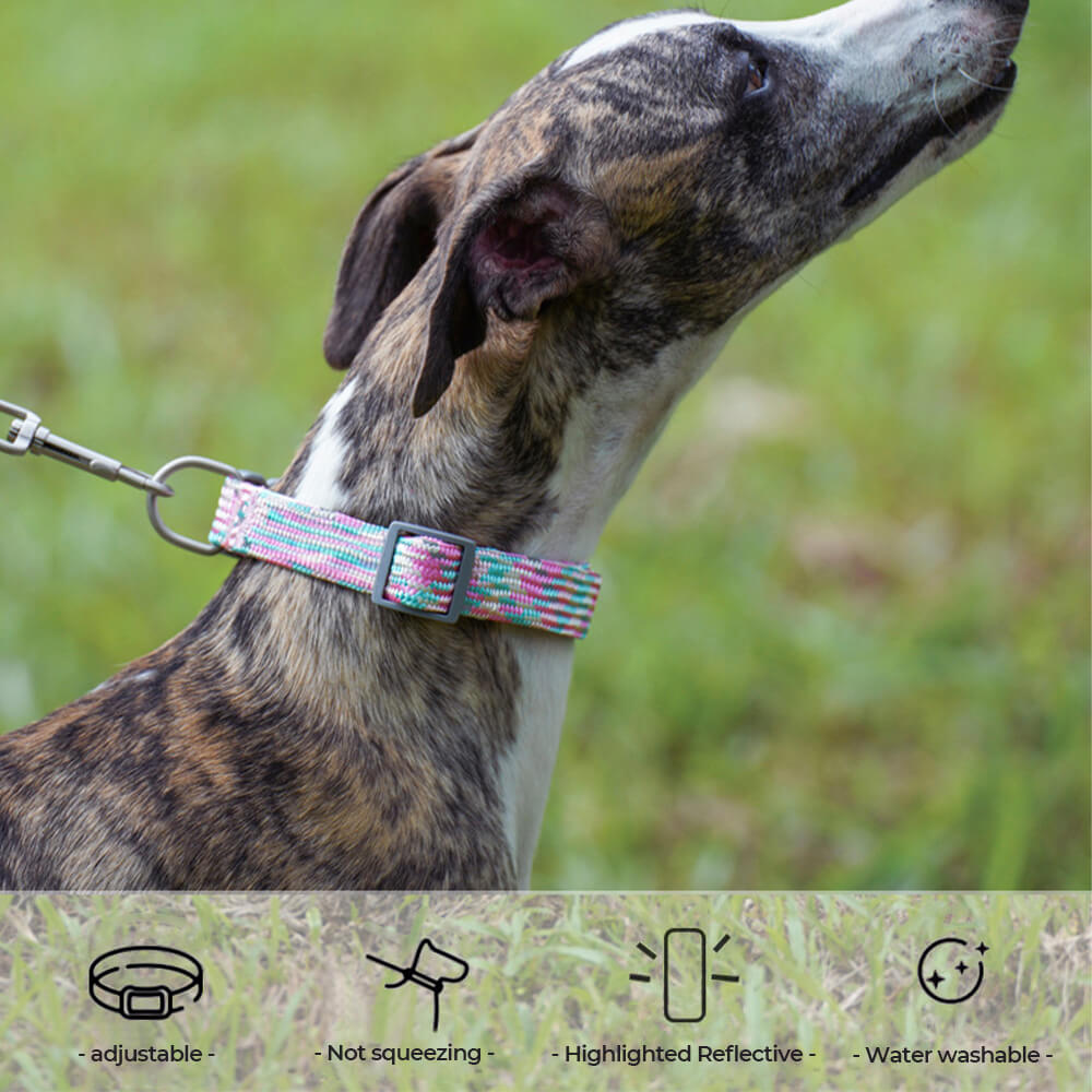 Reflektierendes Gewebe, verstellbares Anti-Zug-Hundehalsband und Leine