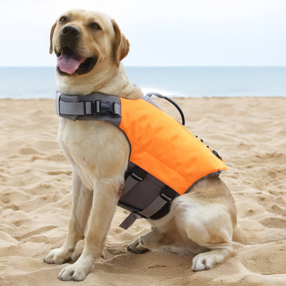 Secure and Buoyant High-Visibility Dog Life Jacket