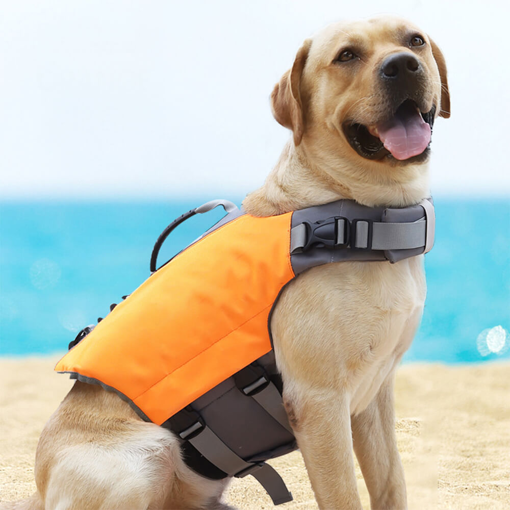 Secure and Buoyant High-Visibility Dog Life Jacket