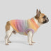 Soft Warm Thick-Knitted Dog Sweater – Designed For Dachshunds, French Bulldogs & Pugs