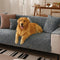 Velvety Soft Short Plush Modern Interiors Couch Cover