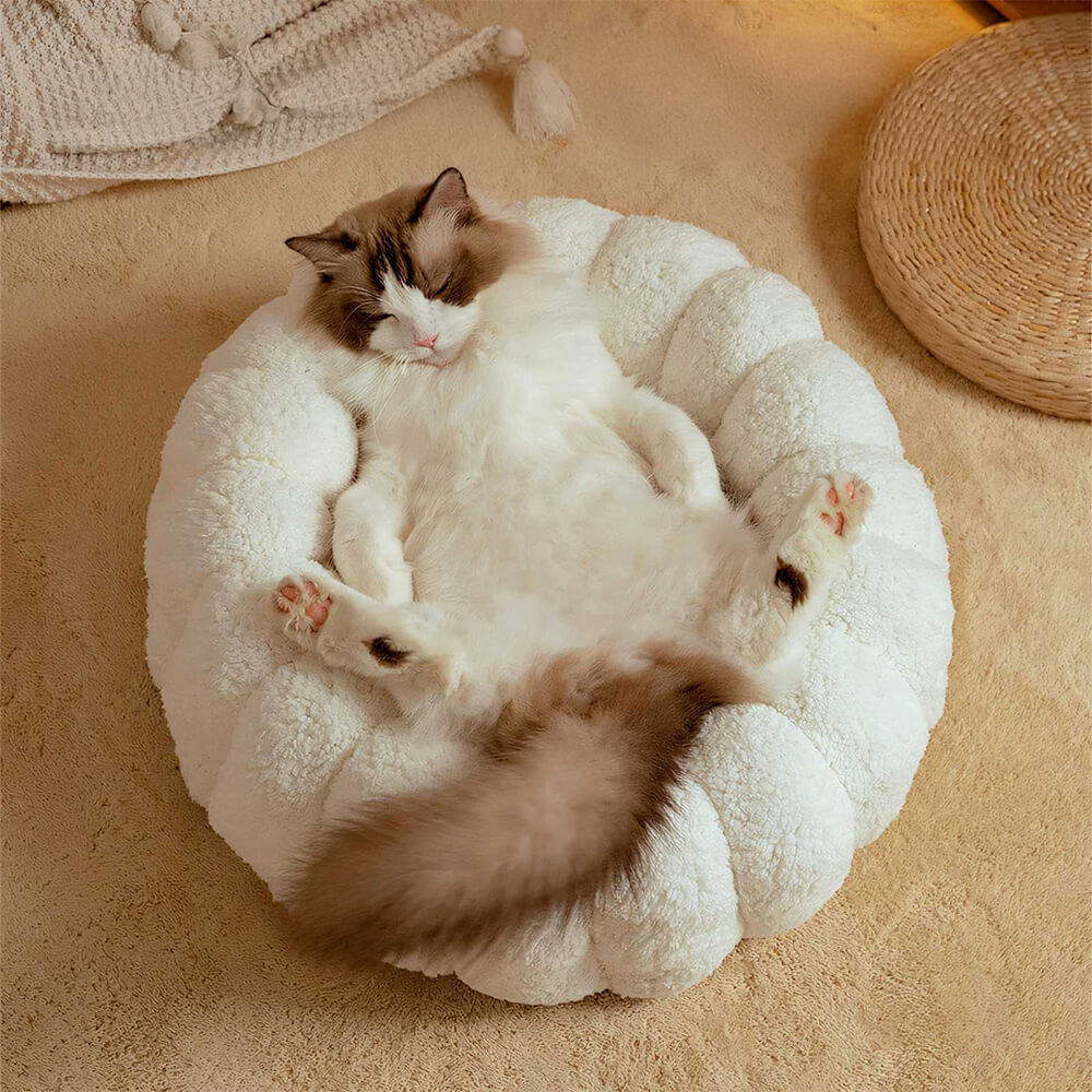 Warm Skin-Friendly Full Support Multi-Purpose Semi-Enclosed Cat Bed