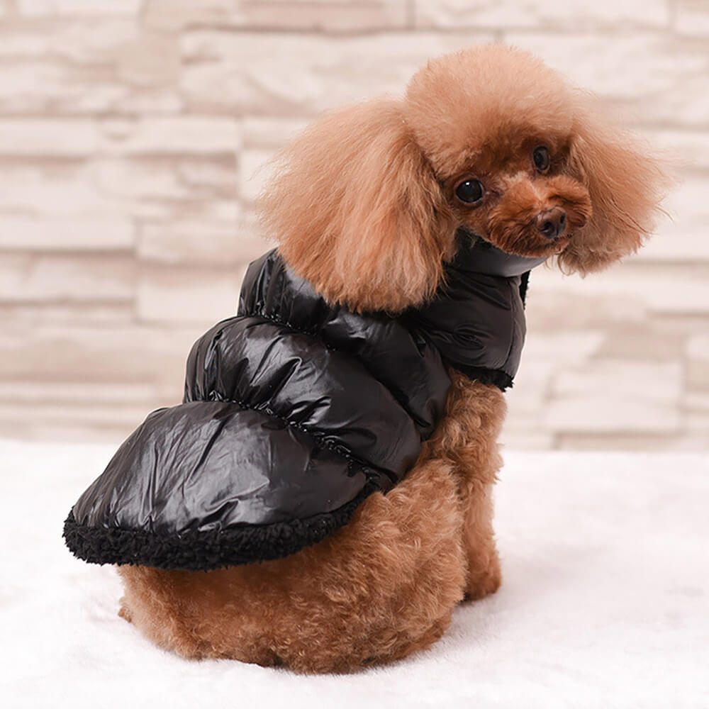 Warm Thick Windproof Waterproof Eco-Friendly Dog Vest