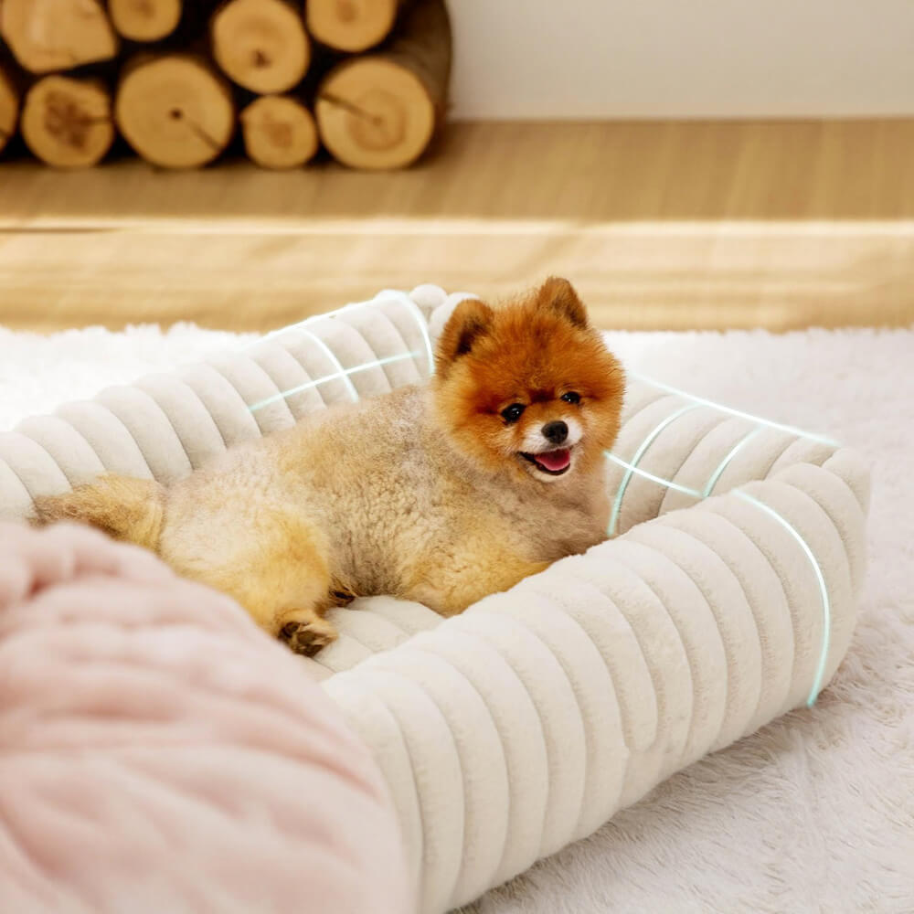 Warmth Cozy Four-Sided Orthopedic Support Bolstered Dog & Cat Bed