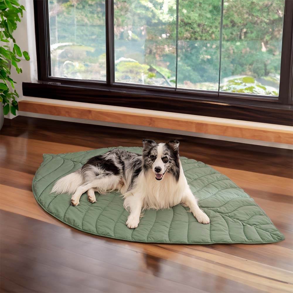Couverture pour chien en forme de très grande feuille, tapis humain