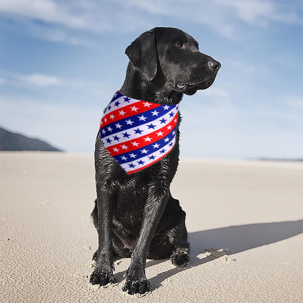 American Flag Star And Strips Dog Bandana
