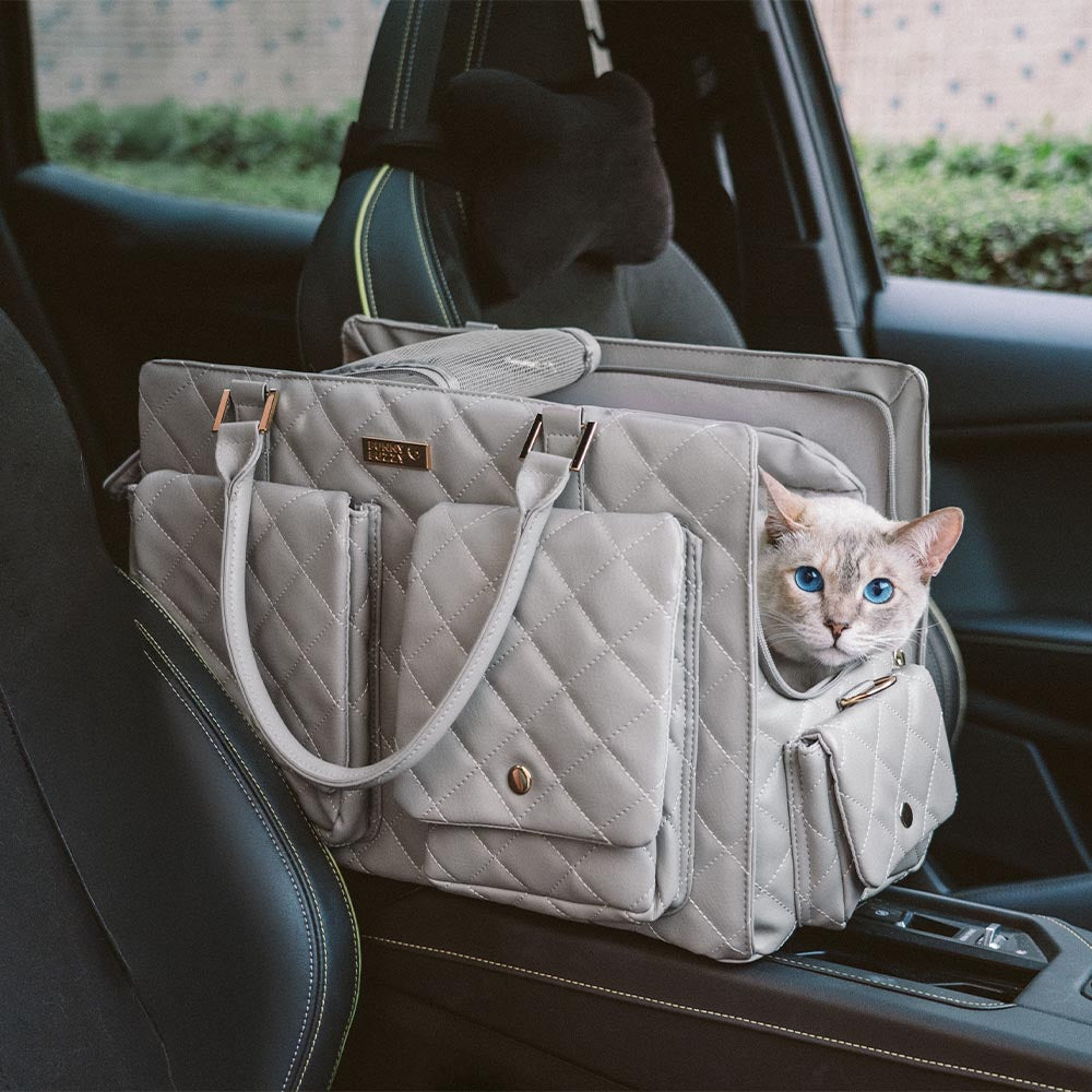 Large Carrying Stylish Multi-Functional Human-Cat Shared Travel Cat Bag - Wandering Tail