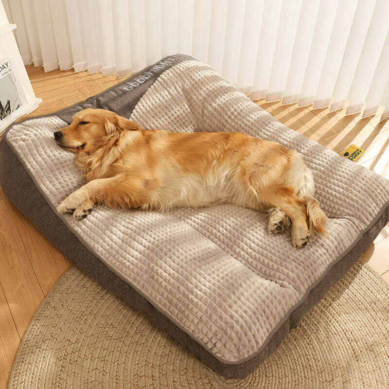 Grand lit de coussin pour chien, personnalisé, épais et résistant aux rayures, Protection de la colonne vertébrale