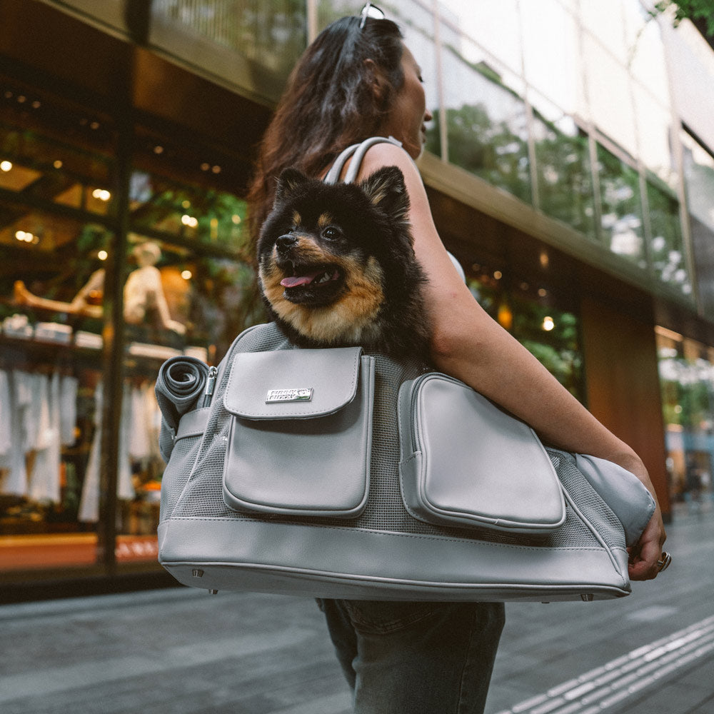 Lightweight Breathable Mesh Safe Pet Carrier - Urban Ease