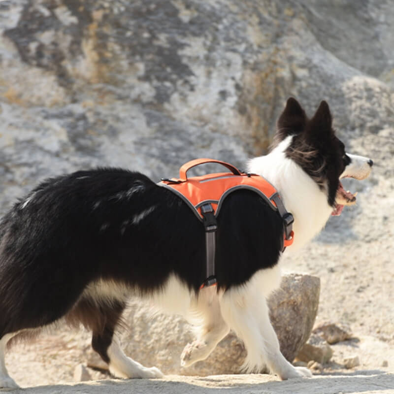 Harnais Anti-traction multifonction antidéflagrant, harnais pour chien de taille moyenne à grande