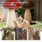 Handcrafted Mushroom-Shaped Natural Sisal Scratching Post for Large Cats