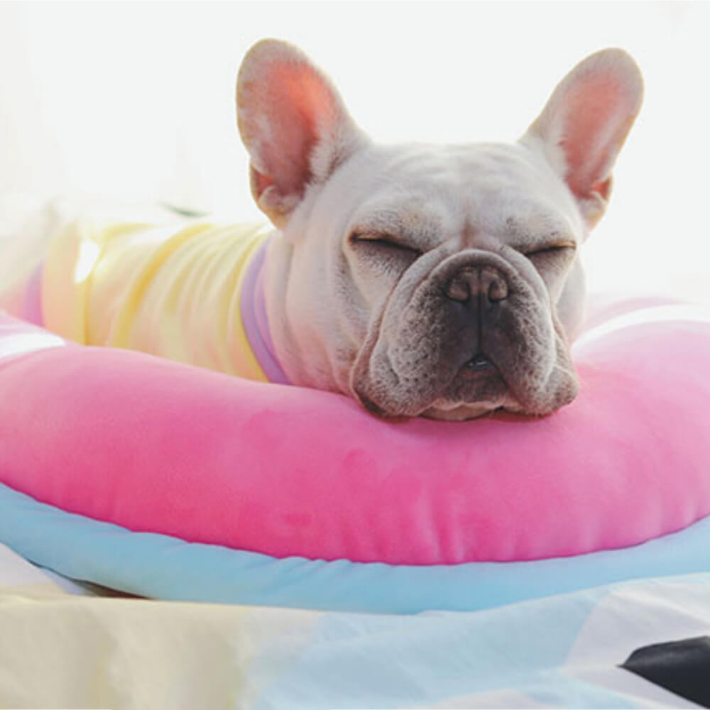Orthopädisches Wirbelsäulenstützkissen zum Schlafen von Hunden