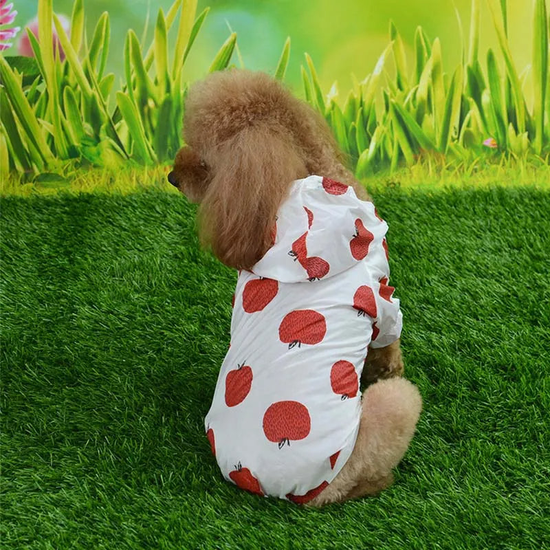 Vêtements de protection solaire pour animaux de compagnie, chemise à capuche pour chien