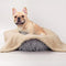 Polar Fleece Comfortable Warm Multifunctional Pet Blanket