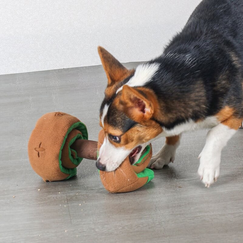 Puzzle Dispensador de comida Juguete interactivo para tratar con mancuernas para perros