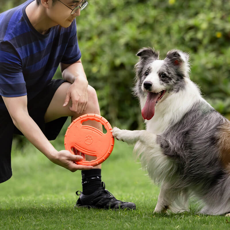 Lenkrad-Gummi-Wurfspielzeug, interaktive Hunde-Flugscheibe