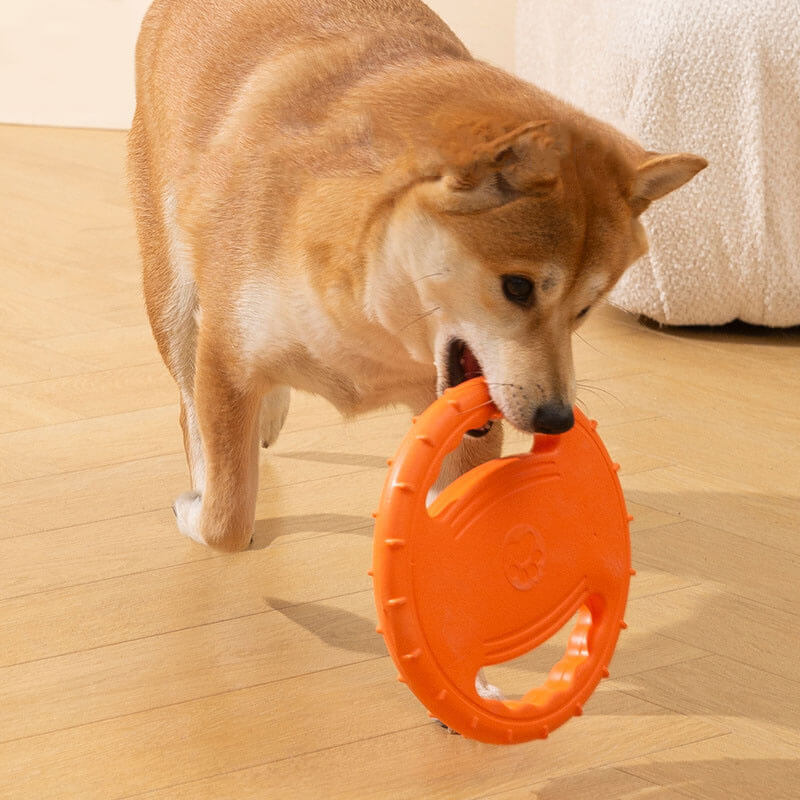 Volant en caoutchouc, jouet interactif pour chien, disque volant