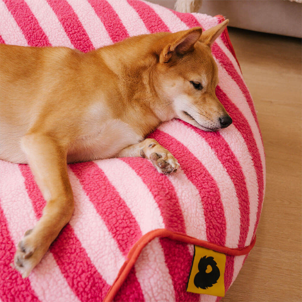 Cama para perros con puf calmante poligonal con estampado de rayas de moda