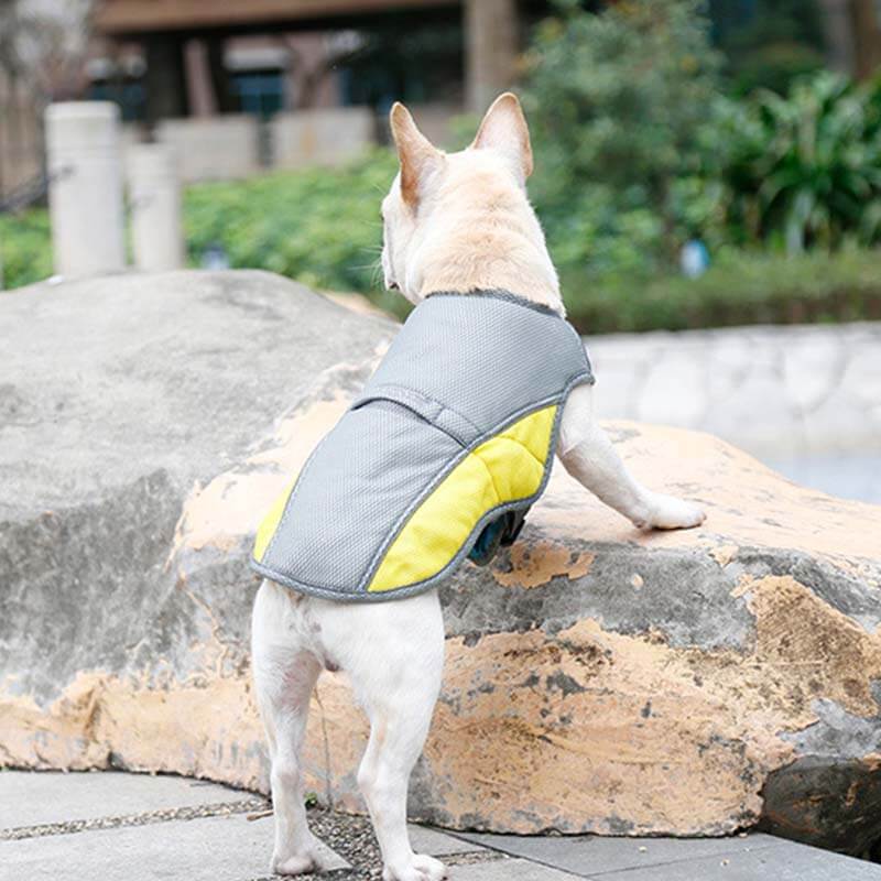 Gilet de refroidissement respirant de protection solaire, veste Cool, accessoires pour chiens, gilet de refroidissement