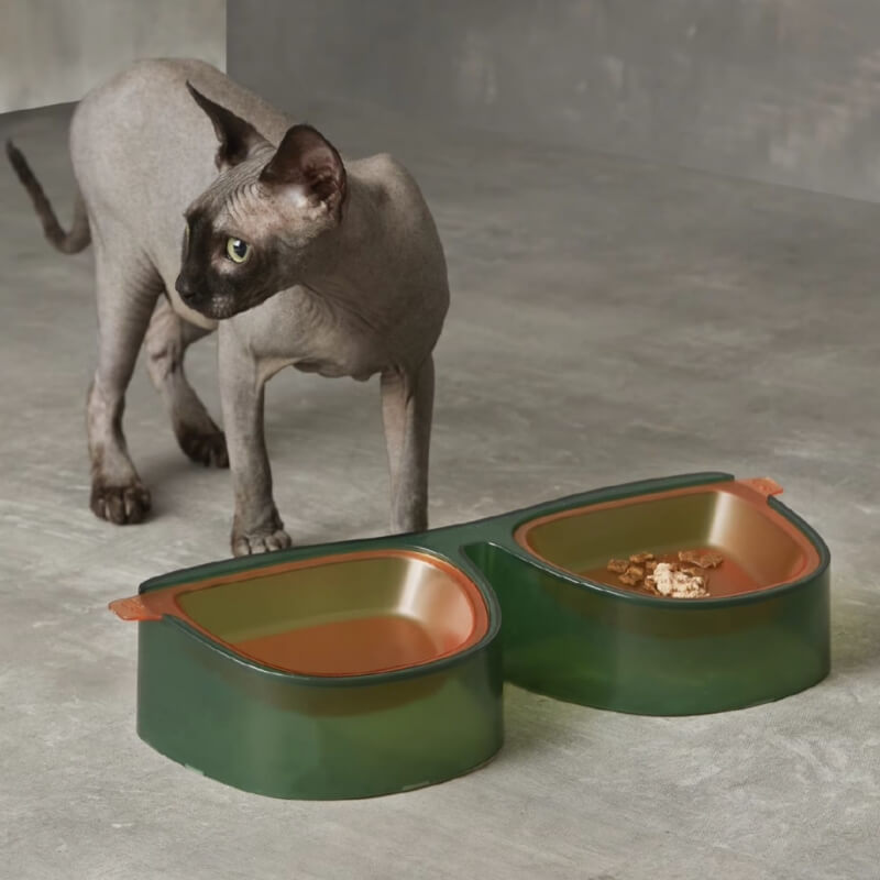 Lunettes de soleil Bol double pour animaux de compagnie, séparation sèche et humide