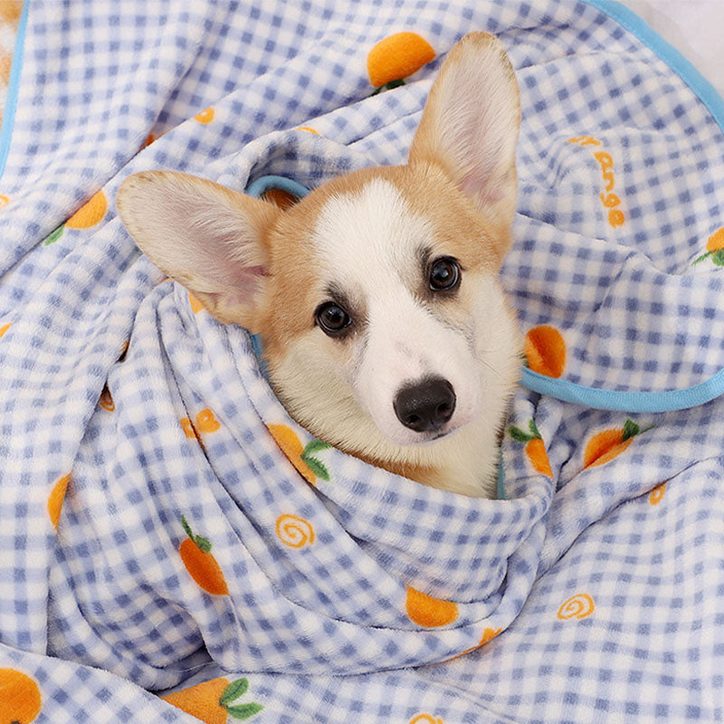 Super Soft Pet Blanket Cat Kneading Blanket