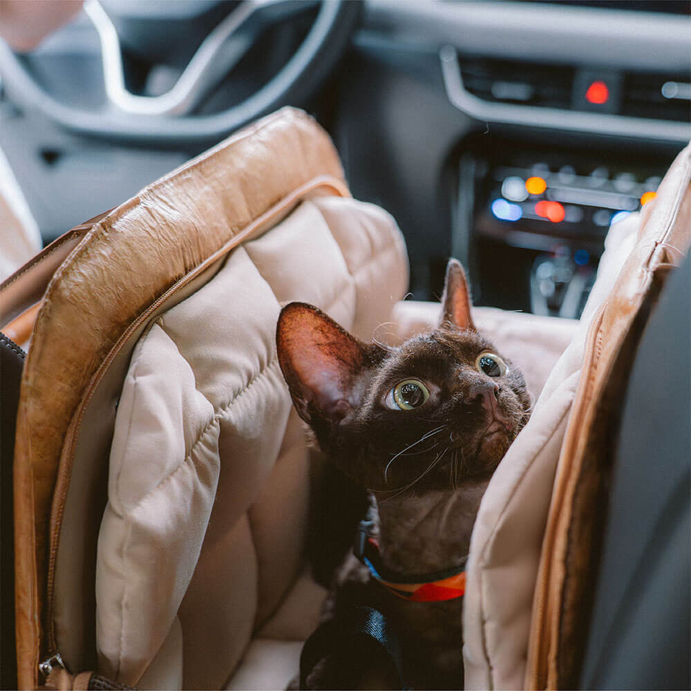 Sac de voyage multifonctionnel écologique pour animaux de compagnie Vogue - City Roamer