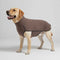 Windproof and Water-Resistant Dog Coat - Ideal for Large Dogs