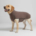 Windproof and Water-Resistant Dog Coat - Ideal for Large Dogs