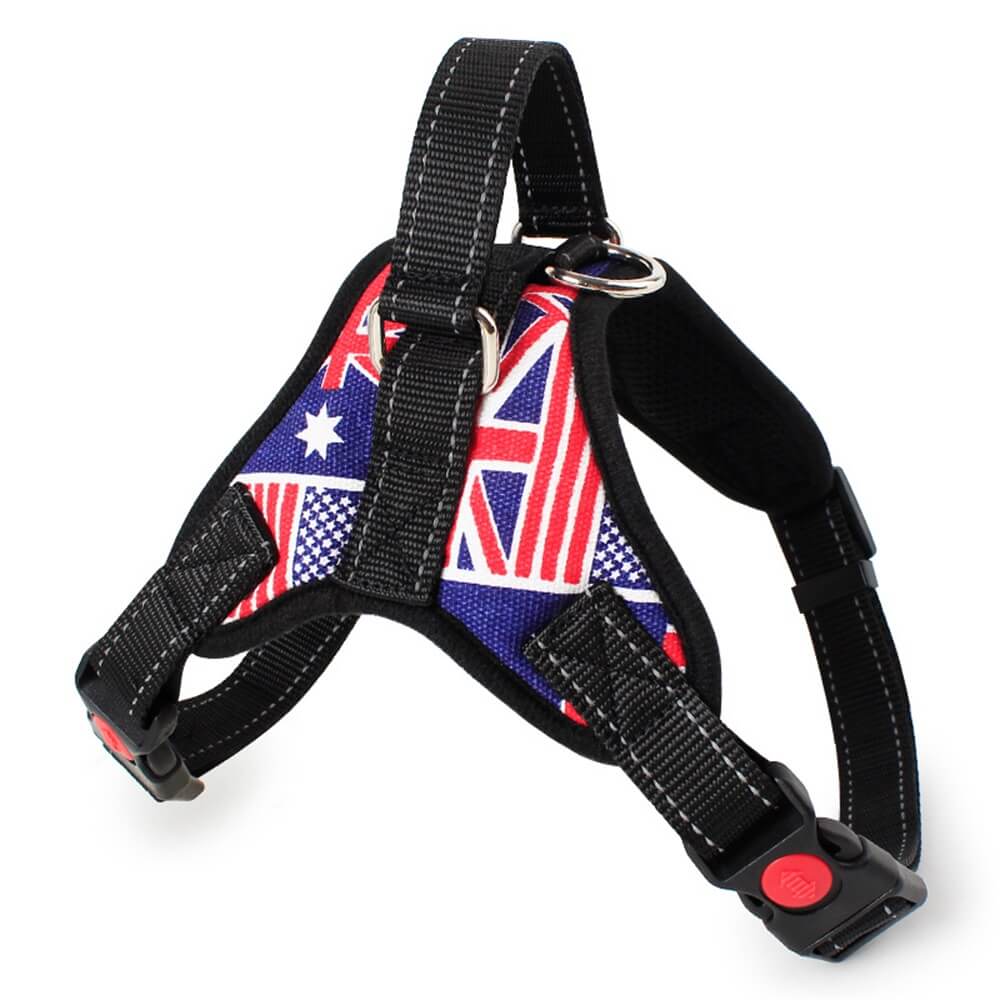 Arnés para perros Union Jack con cuerda de tracción: equipo para caminar elegante y funcional