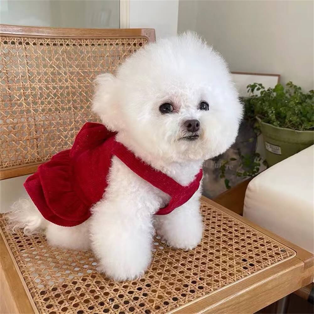 Velvet Red Bow Dog Dress – Perfect for Special Occasions!