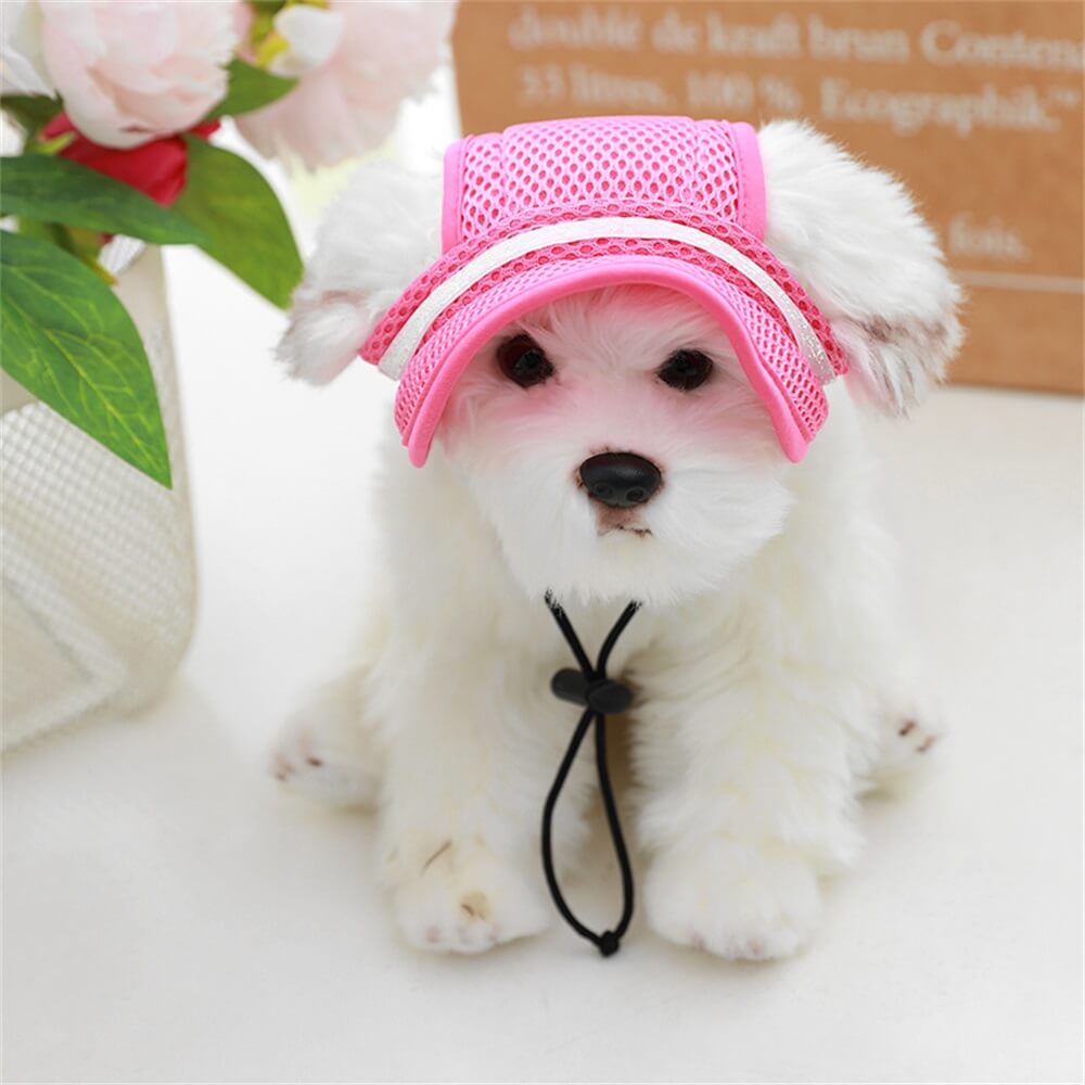 Pet Cat Dog Accessories Adjustable Rope Leaky Ear Sun Hat