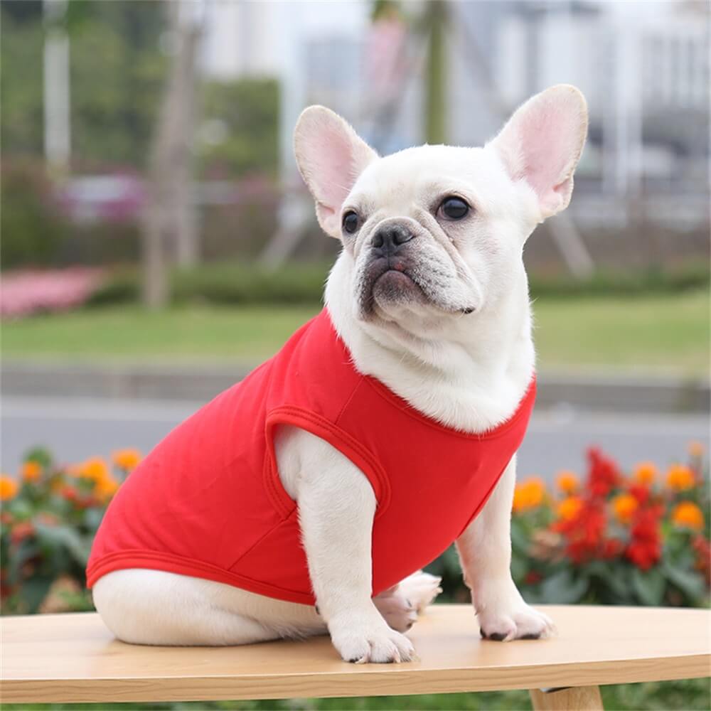 Chaleco básico de algodón de color sólido Ropa para mascotas