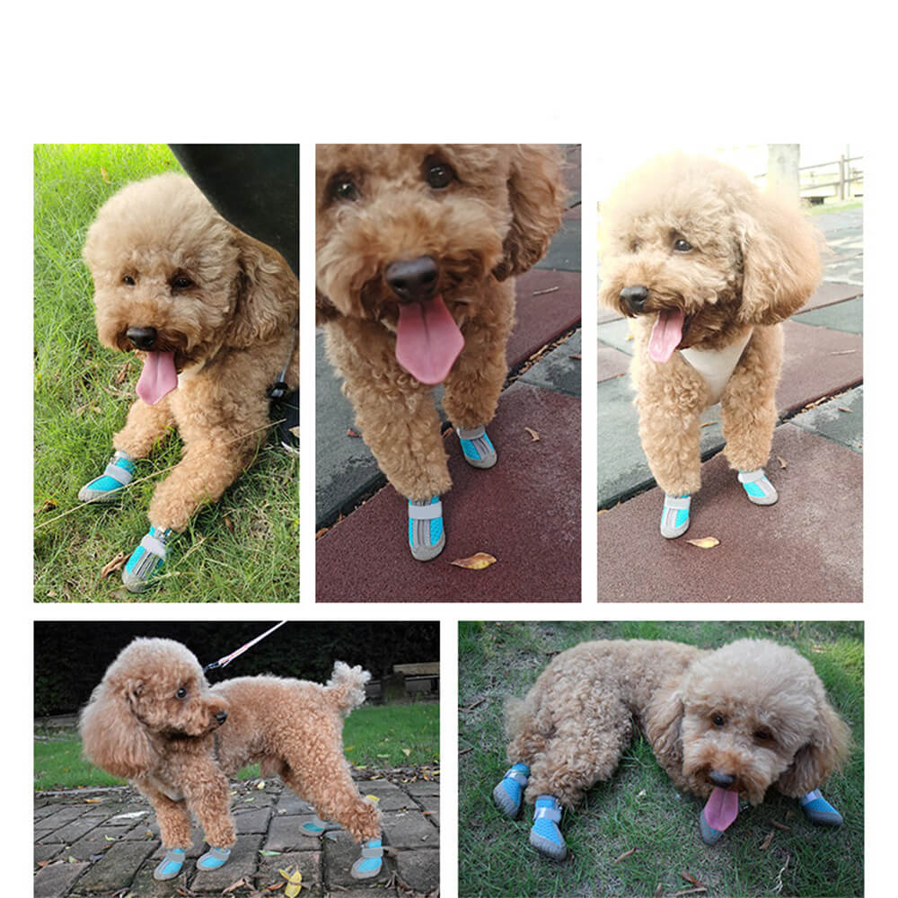 Botas duraderas para perros al aire libre con tela de malla: protección de patas todo terreno