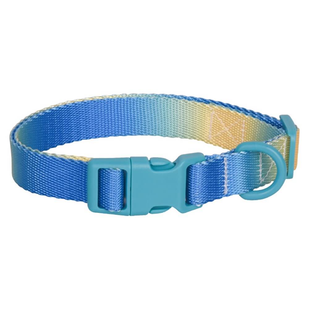 Macaroon Buckle Gradient Nylon Adjustable Dog Collar and Leash