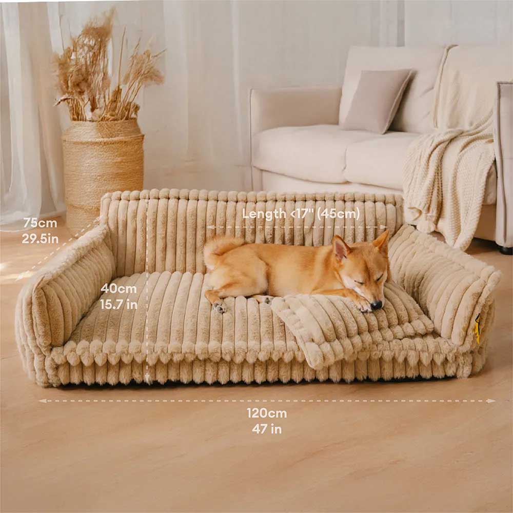 Grand oreiller orthopédique doux et lavable pour chien, canapé-lit, Snoozy Dream