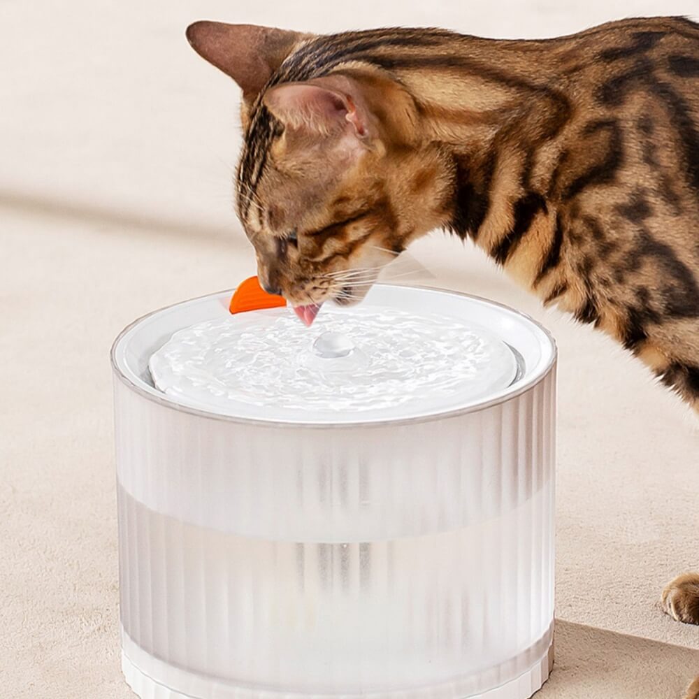 Anti-leakage Automatic Cycle Pet Smart Water Dispenser