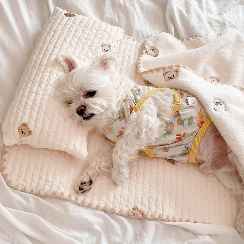 Cozy Embroidered Cotton Pet Pillow Quilt Bed Set