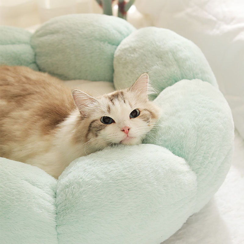 Cama para gatos con forma de flor para dormir profundamente