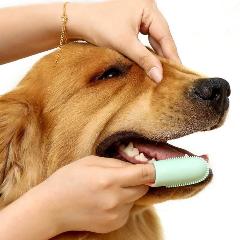 Pet Toothbrush Finger Toothbrush for Teeth Cleaning