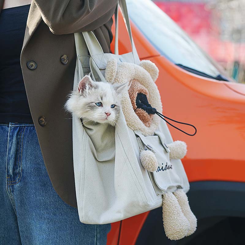 Sac de transport pour animaux de compagnie de créateur de voyage respirant et portable