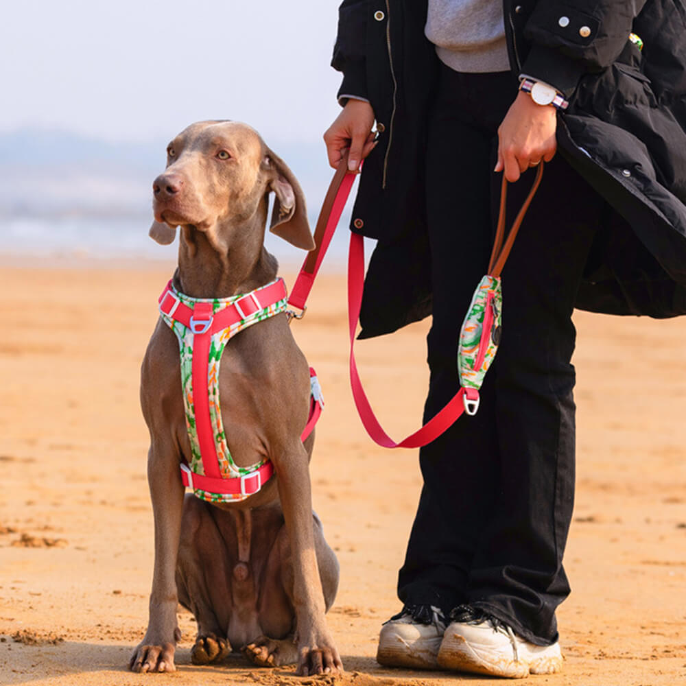 Ensemble de marche avec harnais et laisse pour grand chien, anti-traction sécurisé, avec sac de promenade