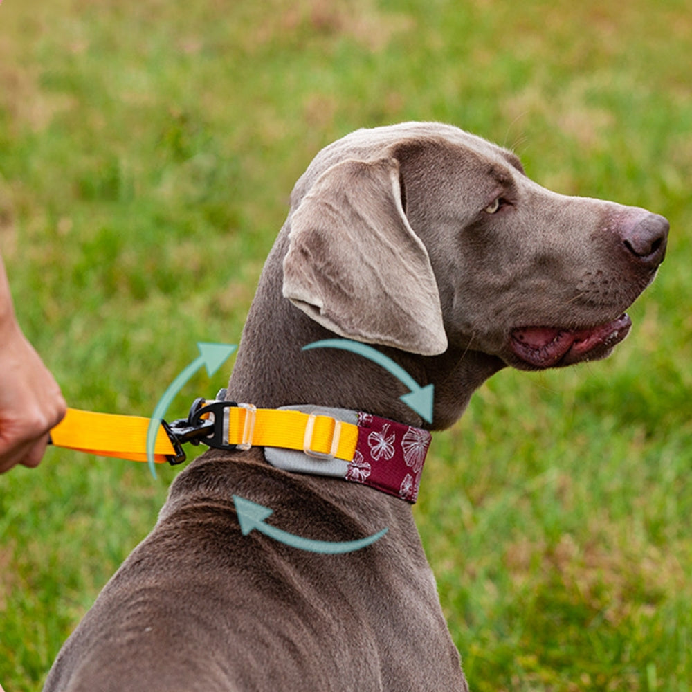 Collar de accesorios para perros, elegante, cómodo, sin tirones