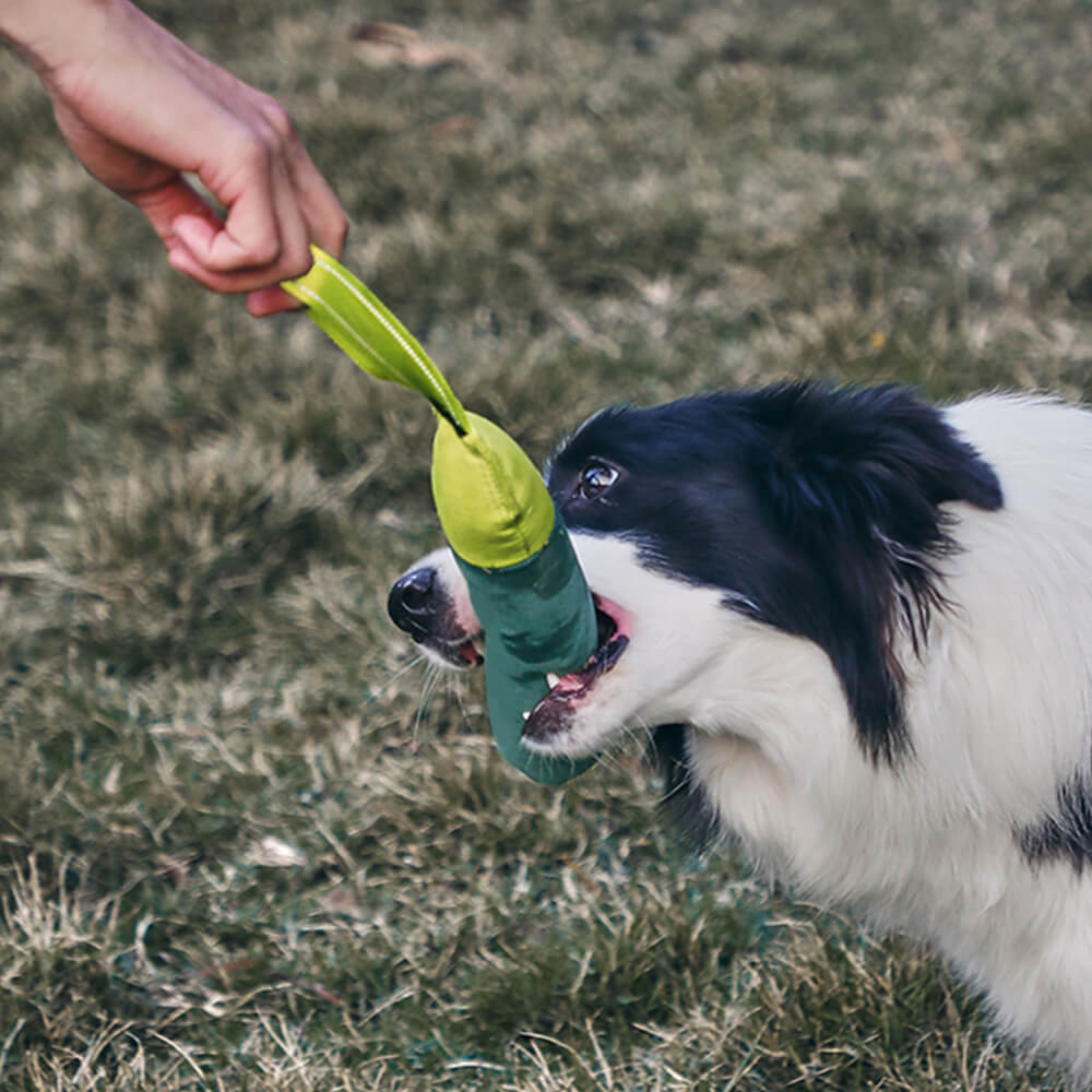 Juguete interactivo ultraduradero que flota en el agua para perros