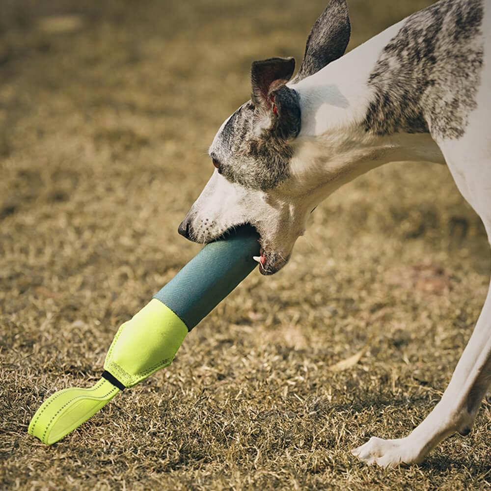 Juguete interactivo ultraduradero que flota en el agua para perros