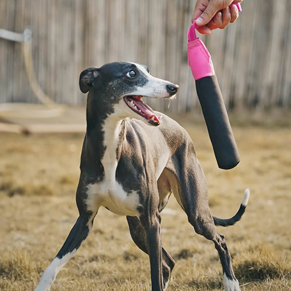 Juguete interactivo ultraduradero que flota en el agua para perros